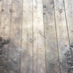 Meet your Posher, Barbara